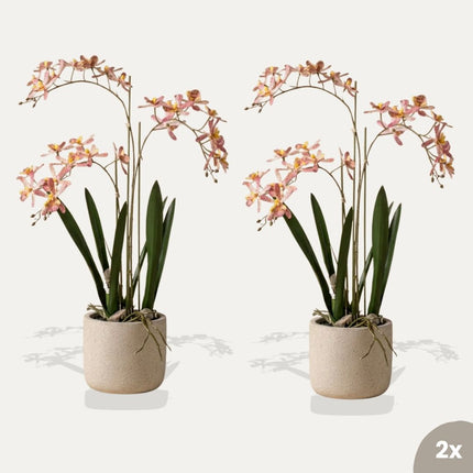 Renanthera orchidee roze 2 stuks - Bundelproduct - Kunstplanten