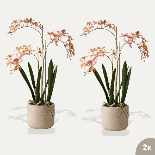Renanthera orchidee roze 2 stuks - Bundelproduct - Kunstplanten