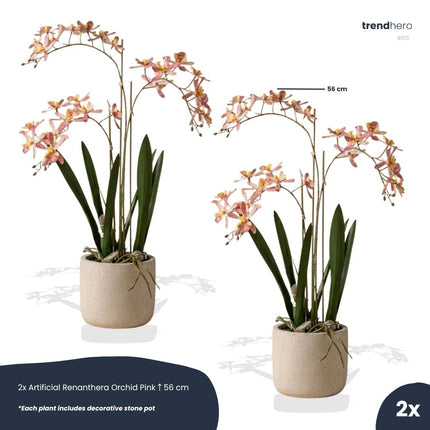 Renanthera orchidee roze 2 stuks - Bundelproduct - Kunstplanten