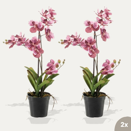 Orchidee Vanda roze 2 stuks - Bundelproduct - Kunstplanten