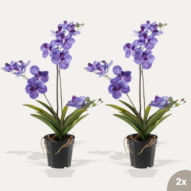 Orchidee Vanda paars 2 stuks - Bundelproduct - Kunstplanten