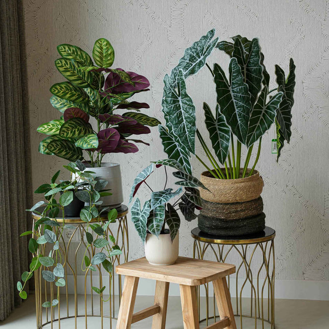 Costa Rica set - 4 stuks - Bundelproduct - Kunstplanten