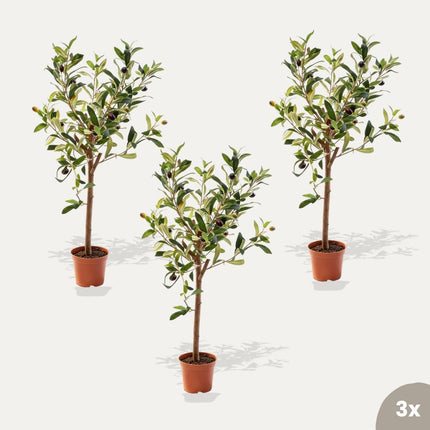 Mini olijfboom set - 3 stuks - Bundelproduct - Kunstplanten