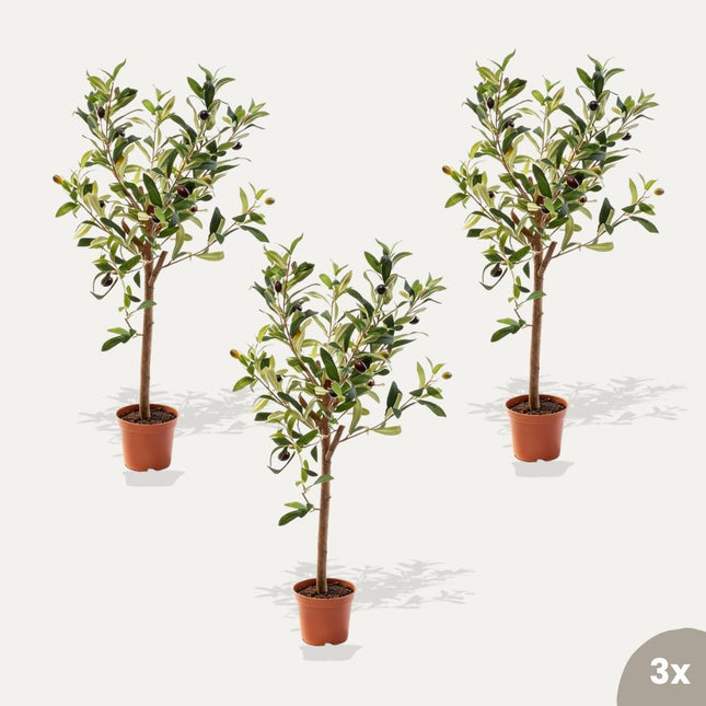 Mini olijfboom set - 3 stuks - Bundelproduct - Kunstplanten