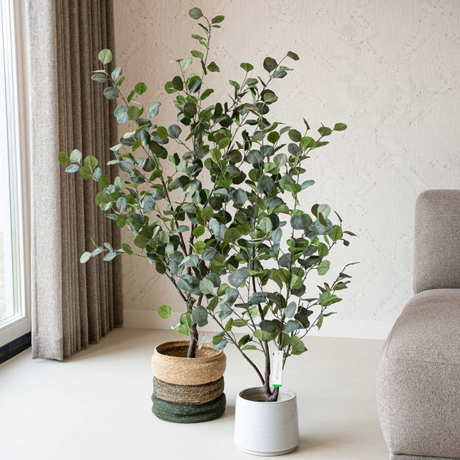 Eucalyptus mix - 2 stuks - Bundelproduct - Kunstplanten