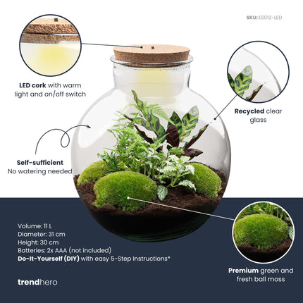 Bolder Bob - DIY Planten terrarium -  Ecosysteem plant - Ø 31 cm ↑ 30 cm