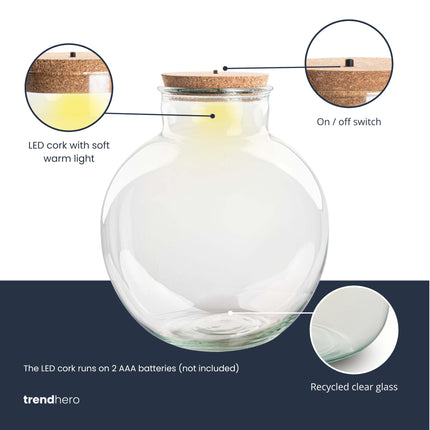 Terrarium fles verlichting in kurk - Bolder Bob - ↑ 30 cm