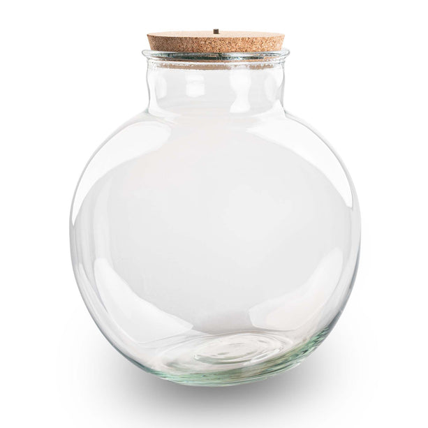 Terrarium fles verlichting in kurk - Bolder Bob - ↑ 30 cm