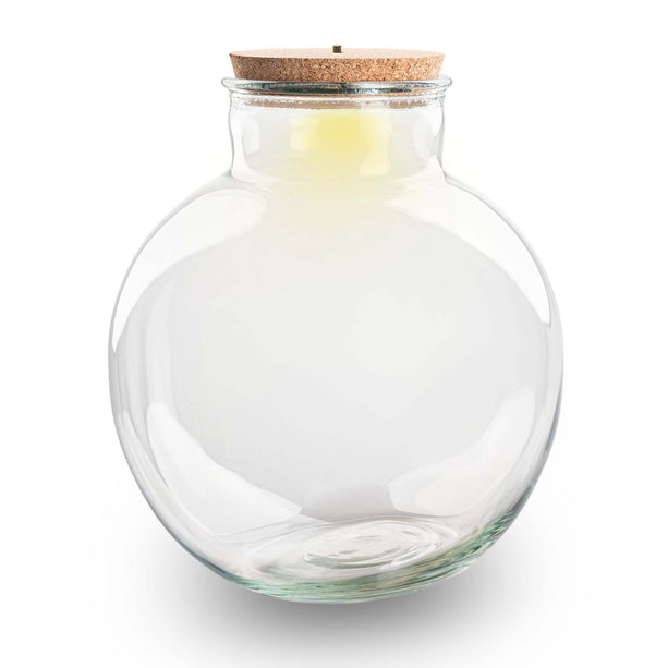 Terrarium fles 'Bolder Bob' - Incl. (LED) kurk - Gesloten terrarium Ø 30 cm ↑ 31 cm