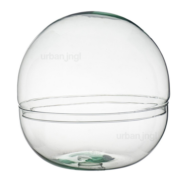 Gesloten terrarium fles - Dome XL - Koepel - Glas ↑ 30 cm