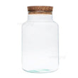 Terrarium fles met kurk - Milky - Gesloten terrarium ↑ 30 cm