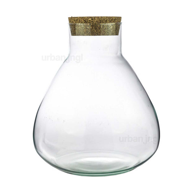 Terrarium fles met kurk - Sam XL - Gesloten terrarium ↑ 35 cm