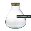 Terrarium fles met verlichting - Sam Erlenmeyer LED - Gesloten terrarium ↑ 30 cm