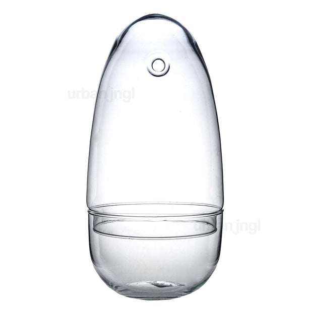 Gesloten terrarium - Bolglas - Stolp - Egg - Ei-vorm - ↑ 26 cm