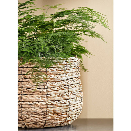 Avalon Mand voor Planten - H26 x Ø26 cm - Zeegras - Lichtbruin