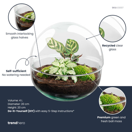 Planten terrarium - DIY kit - Dome - Ecosysteem plant - Ø 20 cm ↑ 20 cm