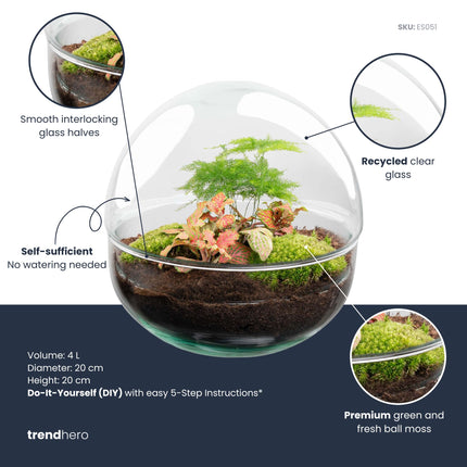 Dome Rood - DIY Planten terrarium - Tweedelig bolglas - Ecosysteem plant - Ø 20 cm ↑ 20 cm
