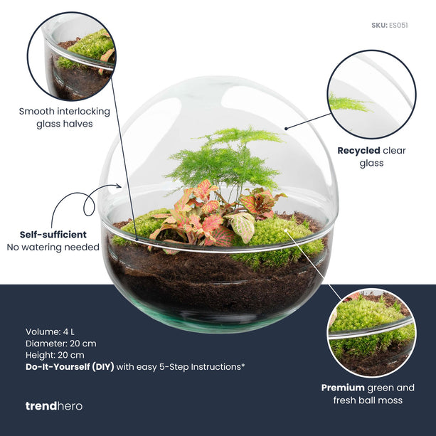 Dome Rood - DIY Planten terrarium - Tweedelig bolglas - Ecosysteem plant - Ø 20 cm ↑ 20 cm