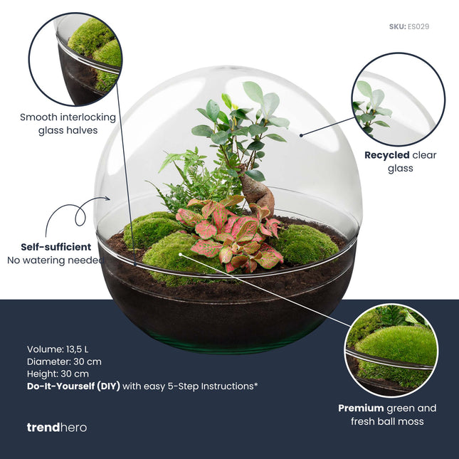 Dome XL Bonsai - DIY Planten terrarium - Tweedelig bolglas - Ecosysteem plant - Ø 28 cm ↑ 28 cm