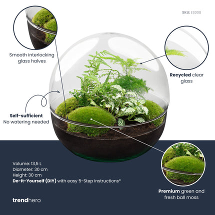 Dome XL - DIY Planten terrarium - Tweedelig bolglas - Ecosysteem plant - Ø 28 cm ↑ 28 cm