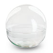 Gesloten terrarium fles - Dome XL - Koepel - Glas ↑ 30 cm