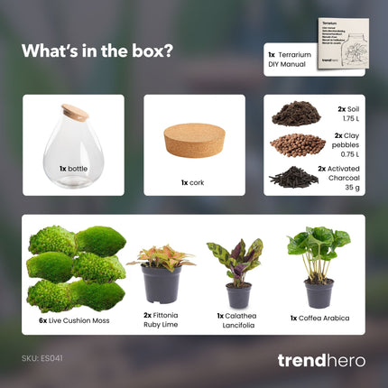 Drop XXL Rood - DIY Planten terrarium - Ecosysteem plant - Ø 34 cm ↑ 43 cm