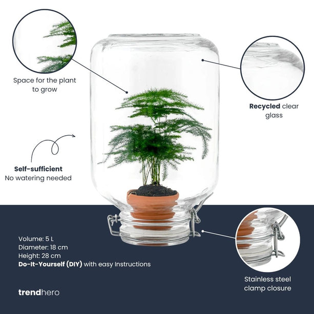 Easyplant - DIY Planten terrarium - Ecosysteem plant - Ø 18 cm ↑ 28 cm
