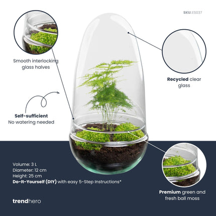 Egg - DIY Planten terrarium - Tweedelig bolglas - Ø 12 cm ↑ 25 cm