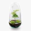 Egg - DIY Planten terrarium - Tweedelig bolglas - Ø 12 cm ↑ 25 cm