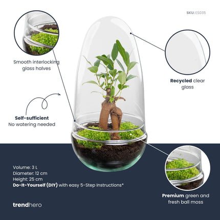Egg - DIY Planten terrarium - Tweedelig bolglas - Ø 12 cm ↑ 25 cm