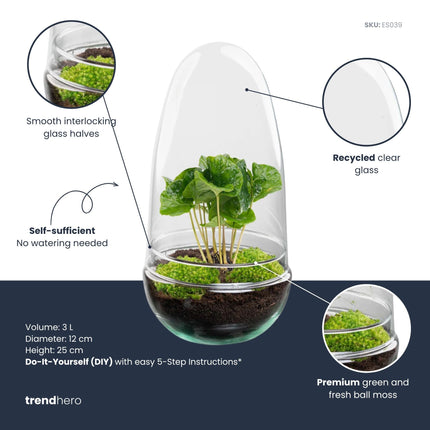 Egg - DIY Planten terrarium - Tweedelig bolglas - Ø 12 cm ↑ 25 cm