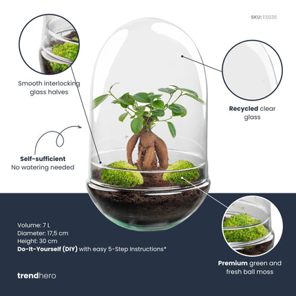 Egg XL Bonsai - DIY Planten terrarium - Tweedelig bolglas - Ø 17,5 cm ↑ 30 cm