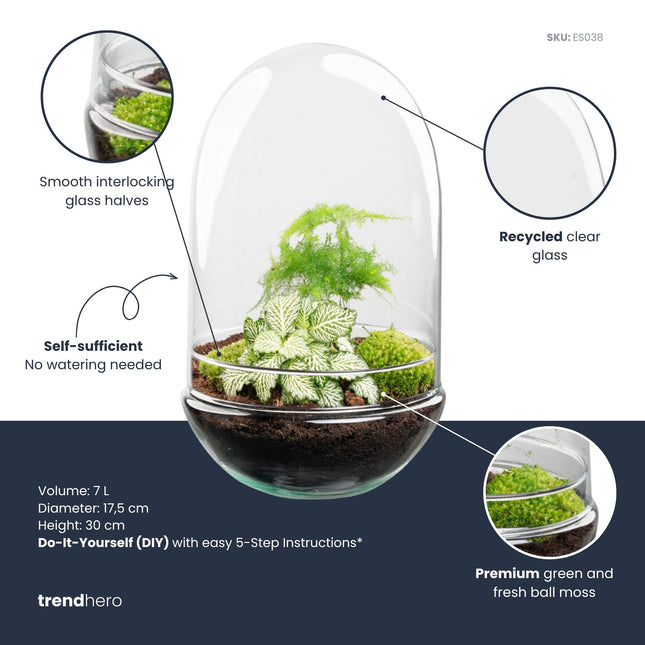 Egg XL - DIY Planten terrarium - Tweedelig bolglas - Ø 17,5 cm ↑ 30 cm