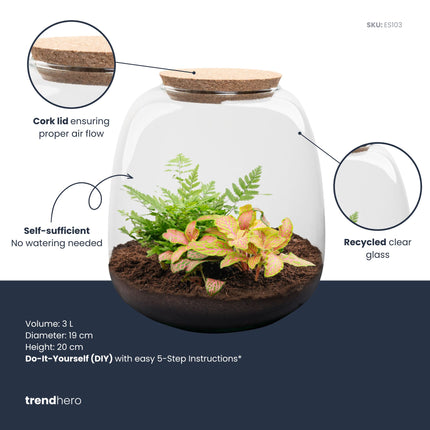 Emma Mini - DIY Planten terrarium - Ecosysteem plant - Ø 19 cm ↑ 20