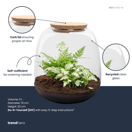 Emma Mini - DIY Planten terrarium - Ecosysteem plant - Ø 19 cm ↑ 20
