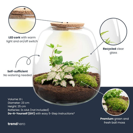 Emma - DIY Planten terrarium - Ecosysteem plant - Ø 23 cm ↑ 25 cm