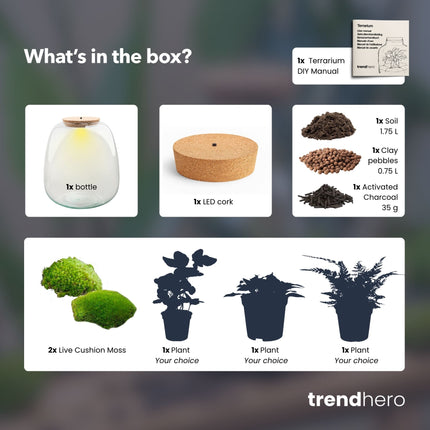Emma - DIY Planten terrarium - Ecosysteem plant - Ø 23 cm ↑ 25 cm