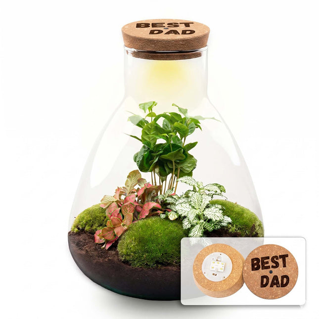 Vaderdag terrarium Sam + gepersonaliseerde gegraveerde kurk met verlichting - Flessentuin DIY kit - Ø 24,5 cm ↑ 30 cm