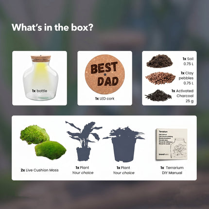Vaderdag terrarium Little Joe + gepersonaliseerde gegraveerde kurk met verlichting - Flessentuin DIY kit - Ø 20 cm ↑ 22 cm