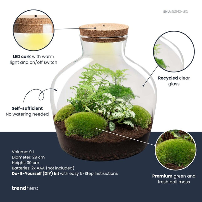 Fat Joe Green - DIY Planten terrarium -  Ecosysteem plant - Ø 29 cm ↑ 30 cm