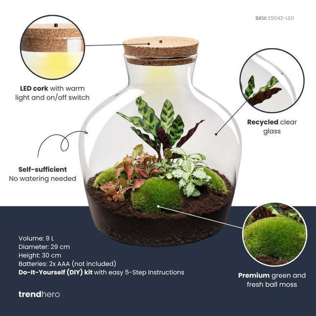 Fat Joe Red - DIY Planten terrarium -  Ecosysteem plant - Ø 29 cm ↑ 30 cm