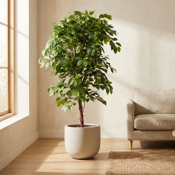 Ficus Deluxe Vine - Kunstboom in zwarte pot - 140 cm