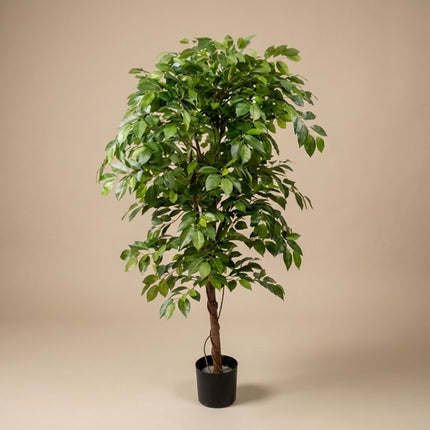 Ficus Deluxe Vine - Kunstboom in zwarte pot - 140 cm