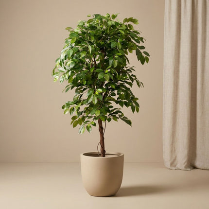 Ficus Deluxe Vine - Kunstboom in zwarte pot - 140 cm