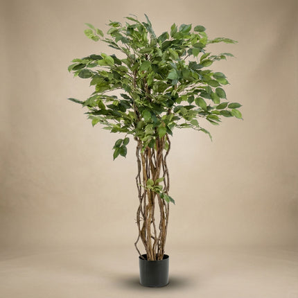 Ficus Liana - Kunstboom in zwarte pot - 140 cm