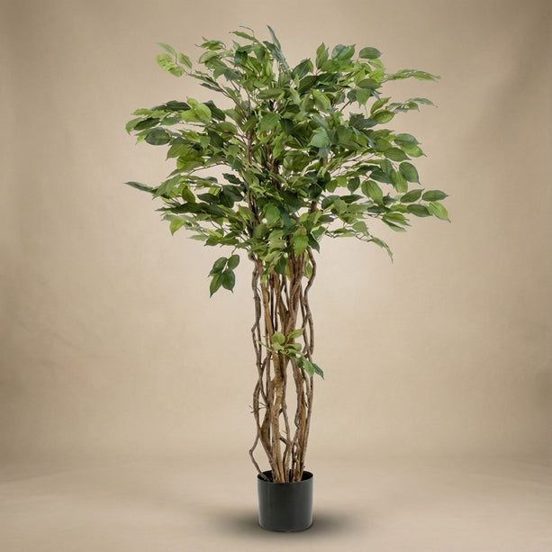 Ficus Liana - Kunstboom in zwarte pot - 140 cm