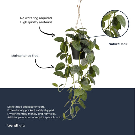 Fittonia - hangplant in pot - 70 cm - Kunstplant