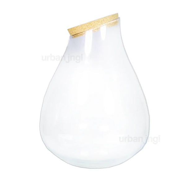 Terrarium fles met kurk - Gesloten terrarium - Drop XL - ↑ 37 cm