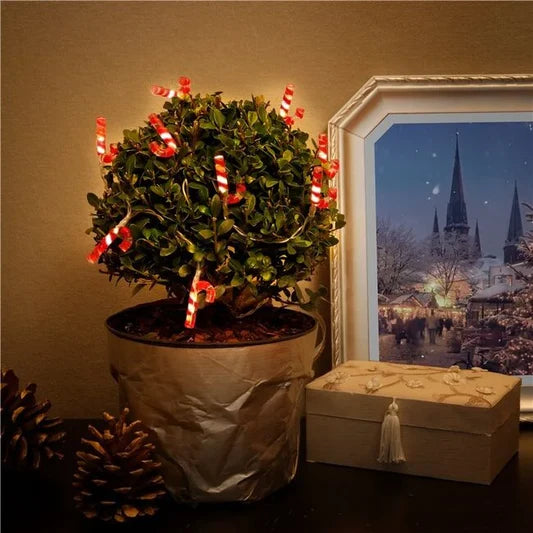 Lichtsnoer verlichting Zuurstokken met 10 LED’s