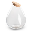 Terrarium fles met kurk - Drop XXL - Gesloten groot terrarium ↑ 43 cm